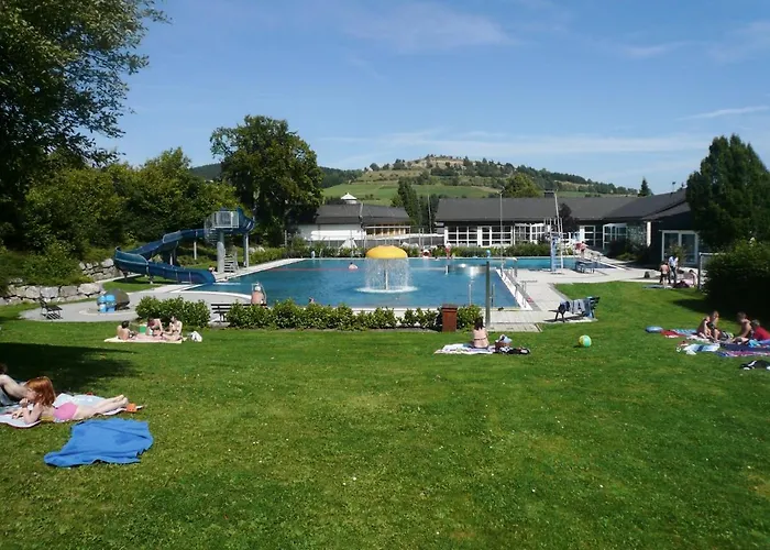 Holiday home 'kahle Poen' Mit Meinecardplus, Wintergarten Und Eingezaeuntem Garten Willingen (Upland)